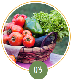 Customized Diet Plan