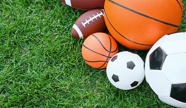 Sports Diet Plan